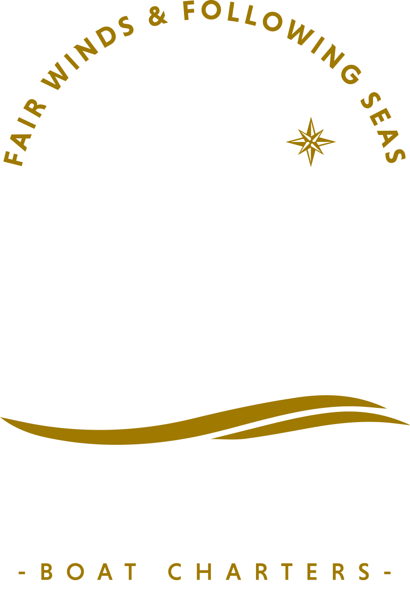 Big Cat Boat Charters — Sail Beyond Ordinary
