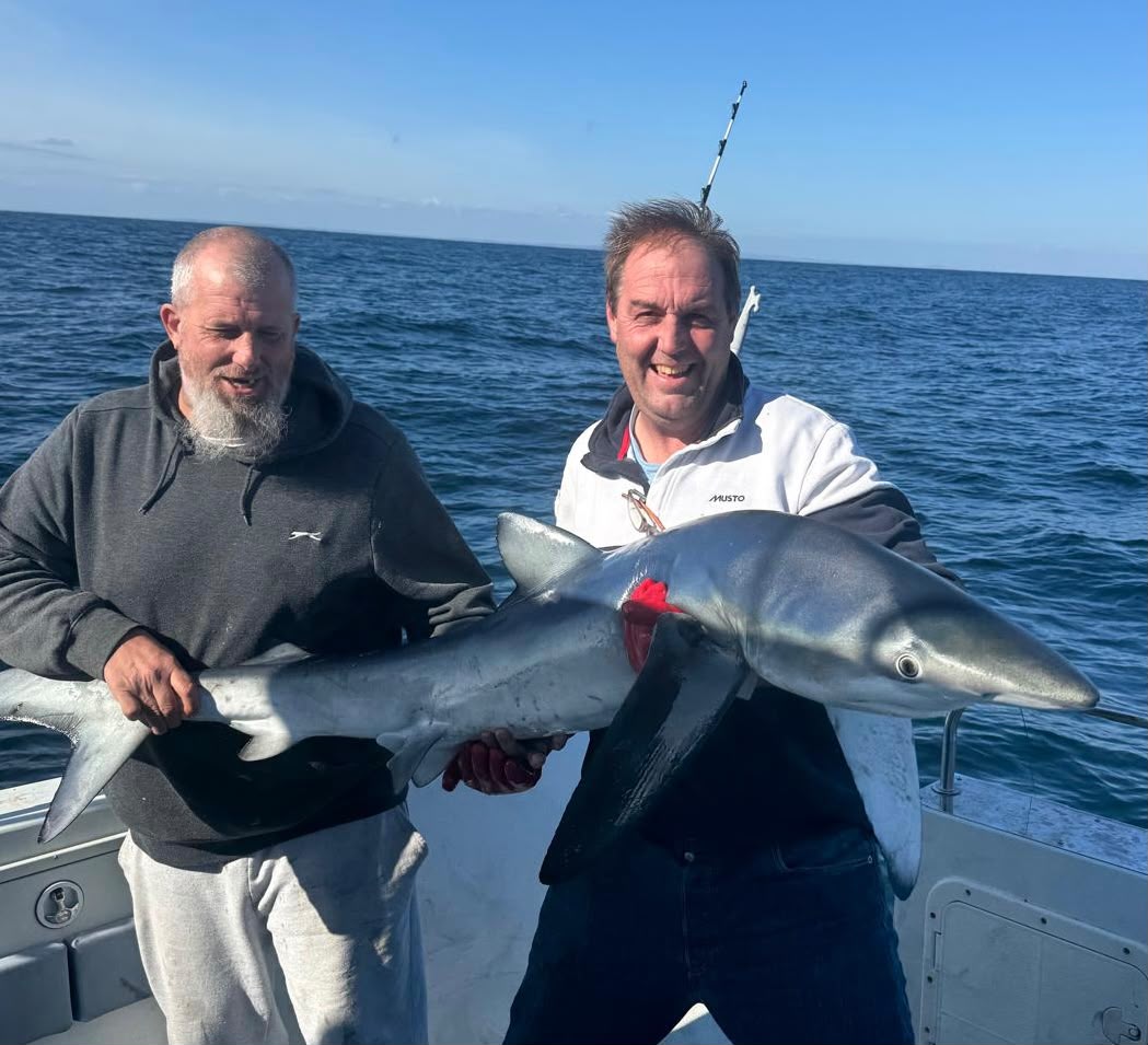 Two anglers displaying a large shark aboard the boat